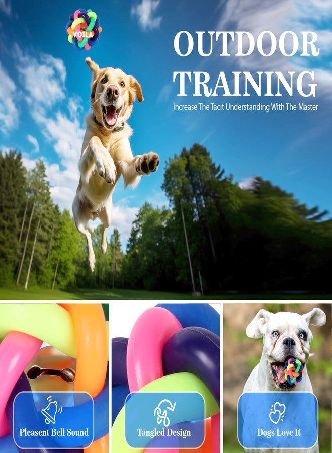 Voila Multi-Color Dog-Toy Ball, Durable & Bouncy Fetch Ball for Extra Small, Small & Medium Breeds, Interactive Rubber for Teething & Playtime, Fun & Safe Balls (Pack of 1) Multicolor - Image 4